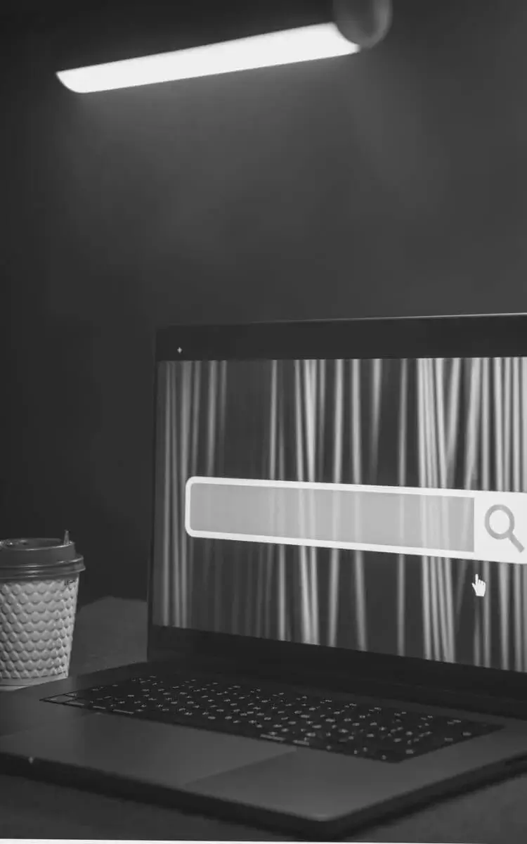 Domain & Hosting Service